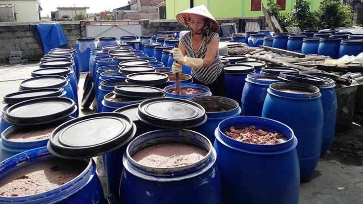 Các sản phẩm chế biến thủy sản là một trong những thế mạnh đặc trưng của huyện Quảng Ninh.