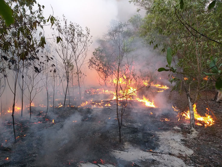 Vụ cháy rừng bùng phát lúc 13h30 phút ngày 19-5.