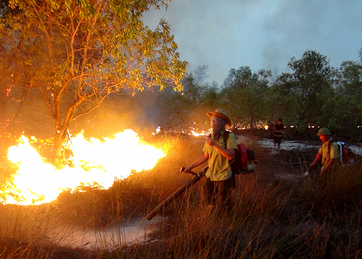 Vụ cháy rừng tại khu vực rừng phòng hộ ven biển Nam Quảng Bình ngày 19-5-2019.