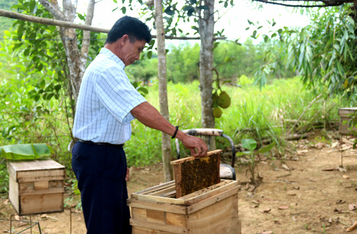 Sản phẩm mật ong Trường Xuân được sản xuất theo chuỗi liên kết giá trị.  