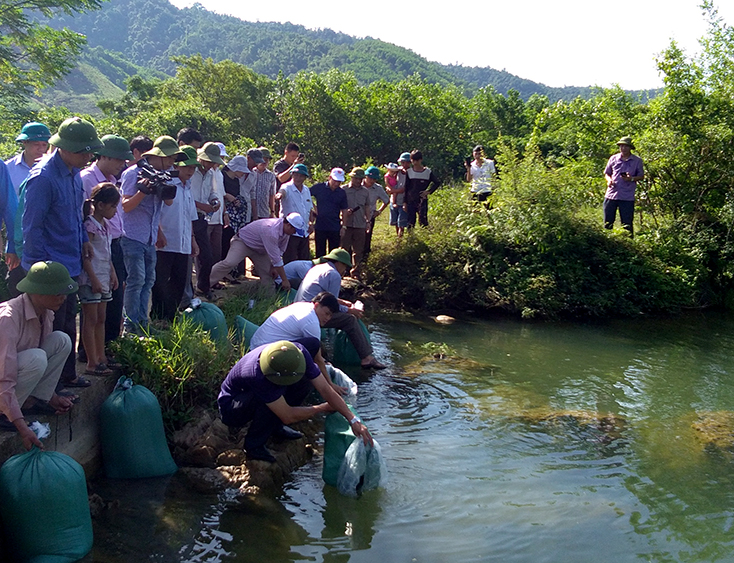 Huyện Minh Hóa sẽ duy trì hoạt động thả cá giống tái tạo nguồn lợi thủy sản hàng năm.