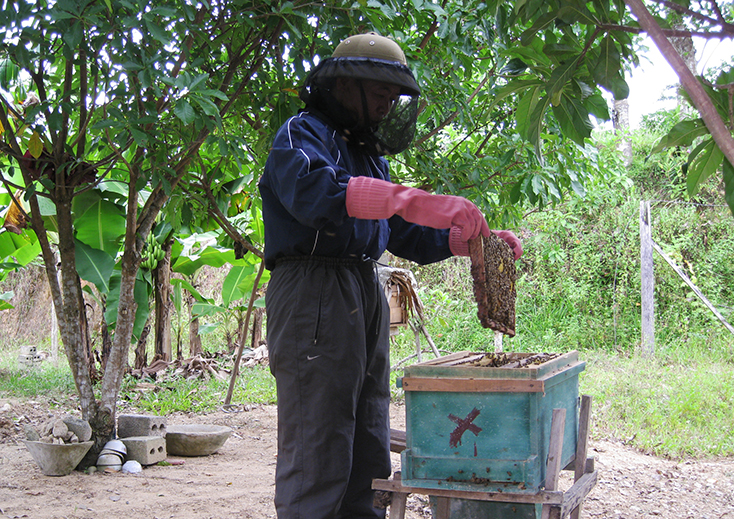 Sản phẩm mật ong Tuyên Hóa được người tiêu dùng ưa chuộng bởi chất lượng cao, bảo đảm an toàn vệ sinh thực phẩm. (Ảnh: Đ.Vân)