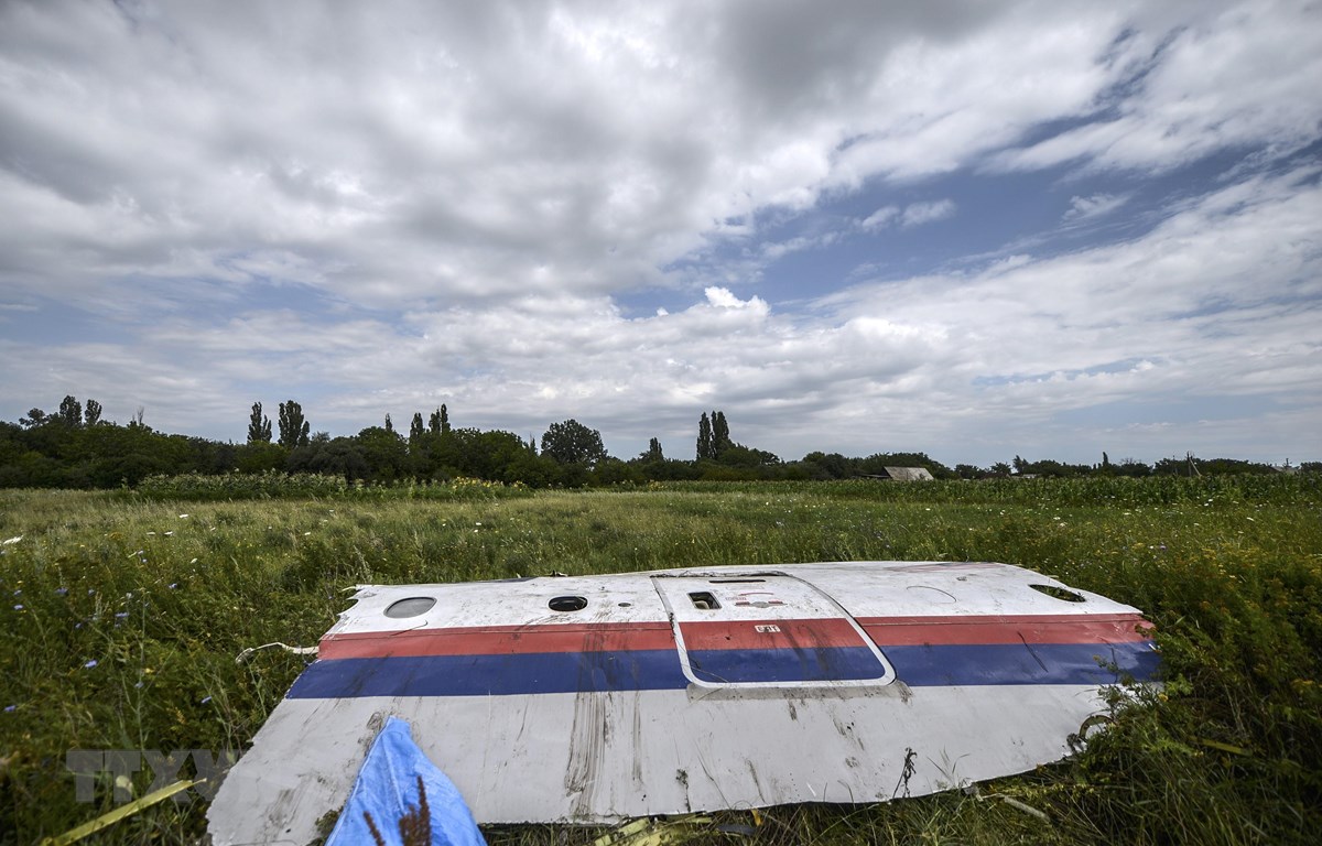 Một phần xác máy bay MH17 trên cánh đồng gần làng Grabove, vùng Donetsk, miền đông Ukraine ngày 20-7-2014. (Ảnh: AFP/TTXVN)