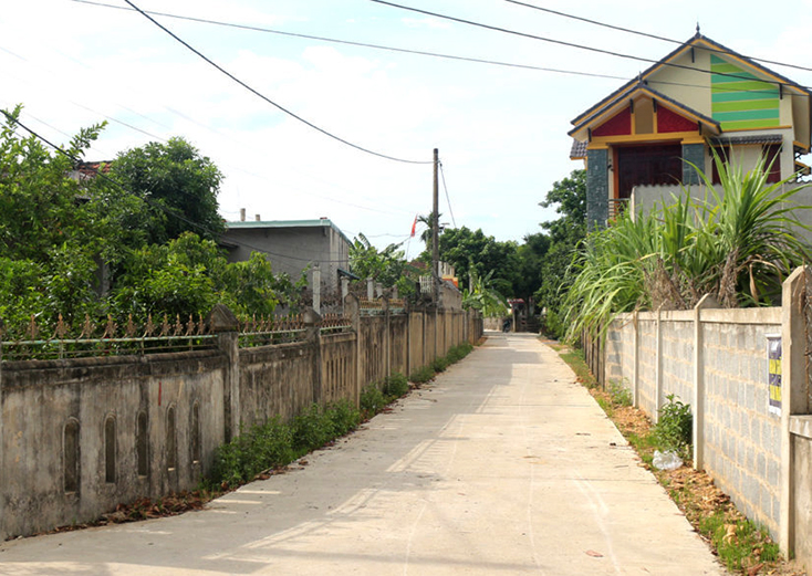 100% đường trục thôn xóm trên địa bàn xã Tân Ninh đã được bê tông hóa.