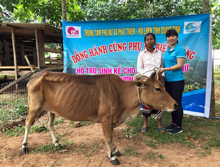 Lãnh đạo Hội LHPN huyện Bố Trạch trao bò giống cho các hộ gia đình của xã Thượng Trạch.