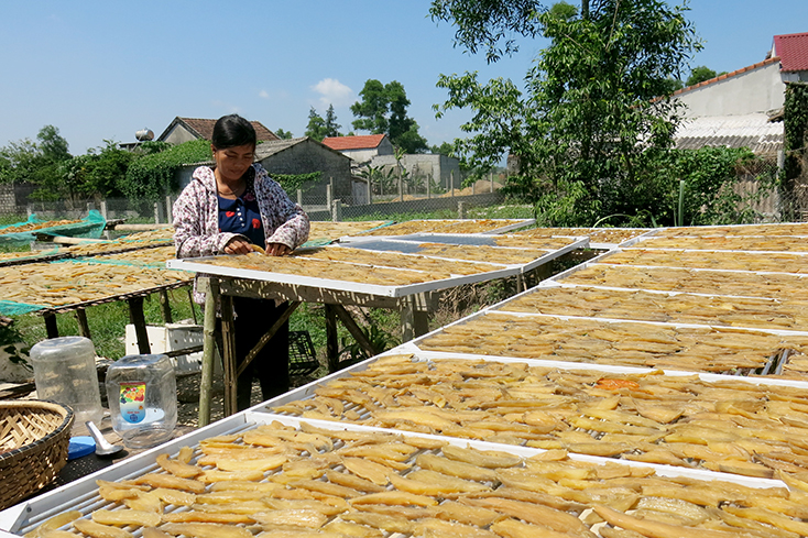 Khoai deo Lâm Hường đang khẳng định thương hiệu cho sản phẩm nông nghiệp huyện Lệ Thủy.