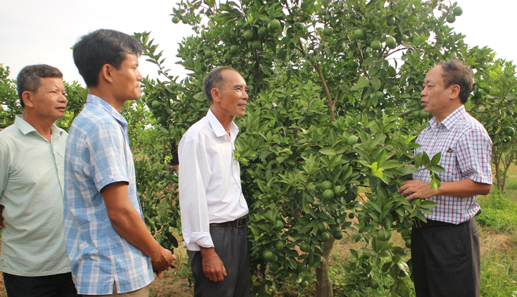 Các đại biểu tham quan mô hình kinh tế vườn đồi có giá trị kinh tế cao tại thị trấn Nông trường Việt Trung (Bố Trạch).