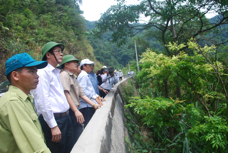 Đồng chí Trần Công Thuật, Chủ tịch UBND tỉnh kiểm tra công tác bảo vệ rừng tại khu vực Động Châu- Khe nước trong, huyện Lệ Thủy.