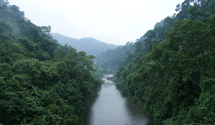 Rừng Động Châu-khe Nước Trong do Ban quản lý rừng phòng hộ Động Châu quản lý.