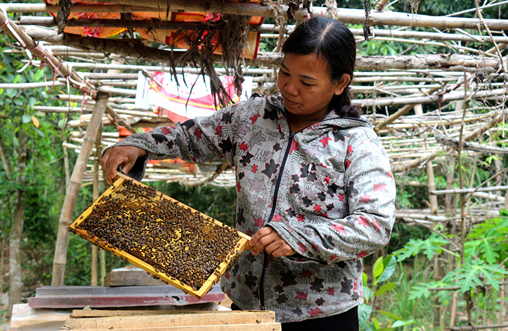 Việc xây dựng thành công thương hiệu sẽ tạo cơ hội để mật ong Trường Xuân vươn xa trên thị trường.