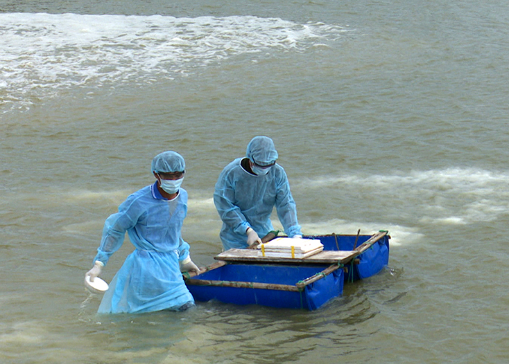 Công tác xử lý dịch bệnh tại các hồ nuôi thủy sản được cán bộ thú y thực hiện kịp thời, đúng quy định.
