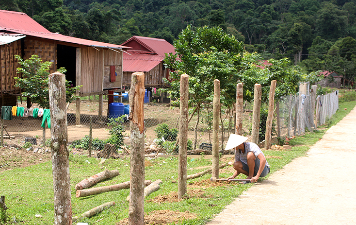  Người A Rem rào vườn trồng cây, phát triển chăn nuôi.  