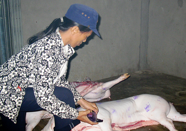 Hoạt động kiểm soát giết mổ, tiêu thụ đối với lợn và sản phẩm lợn được các cơ quan chức năng thực hiện chặt chẽ.