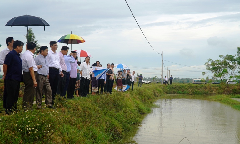 Đoàn đại biểu Đảng Nhân dân cách mạng Lào thăm mô hình lúa – cá tại xã Lương Ninh