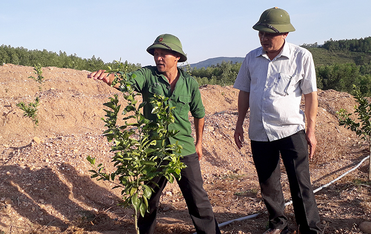 Lãnh đạo Hội Nông dân huyện Tuyên Hóa hướng dẫn người dân thôn Đồng Lâm phát triển cây ăn quả trên diện tích gò đồi.