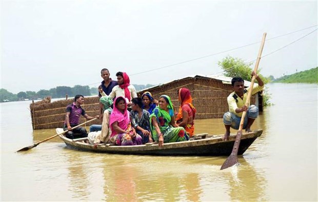 Cảnh ngập lụt tại Muzzaffarpur ,bang Bihar, Ấn Độ. (Nguồn: THX/TTXVN)