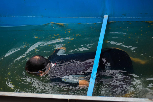 Chuyên gia Nhật Bản ngụp lặn dưới nước để chứng minh độ an toàn của nguồn ngước sau khi đã được xử lý - Ảnh: HOÀNG THANH TÙNG