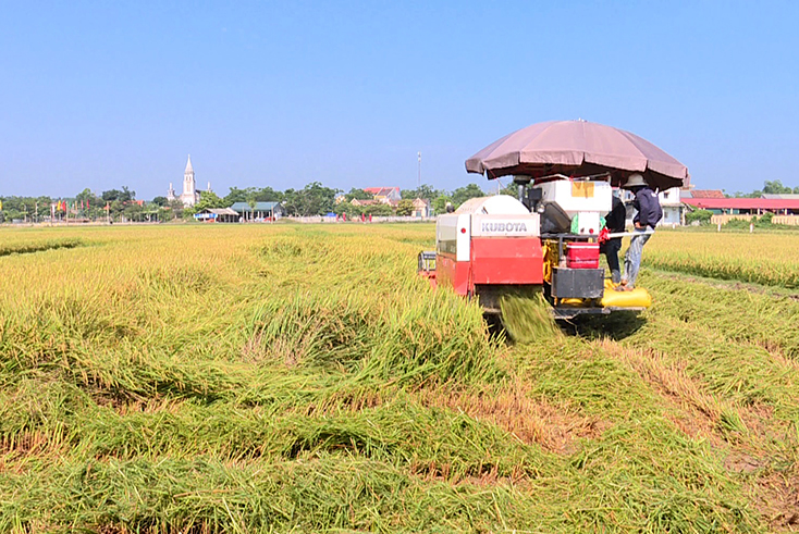 Nhờ dồn điền đổi thửa, nông dân Quảng Trạch rất thuận tiện đưa cơ giới hóa vào sản xuất.