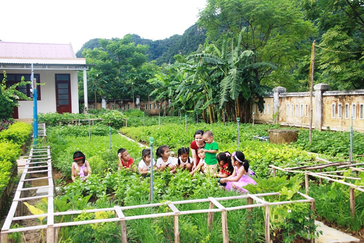 Vườn rau sạch của nhà trường do các cô giáo trồng và chăm sóc để cung cấp cho bữa ăn của trẻ.