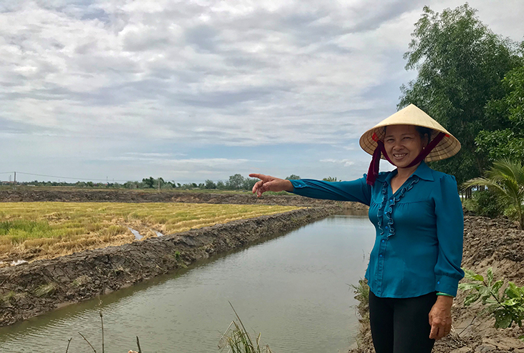 Chị Nguyễn Thị Chiên thành công với mô hình nuôi cá quanh ruộng lúa.