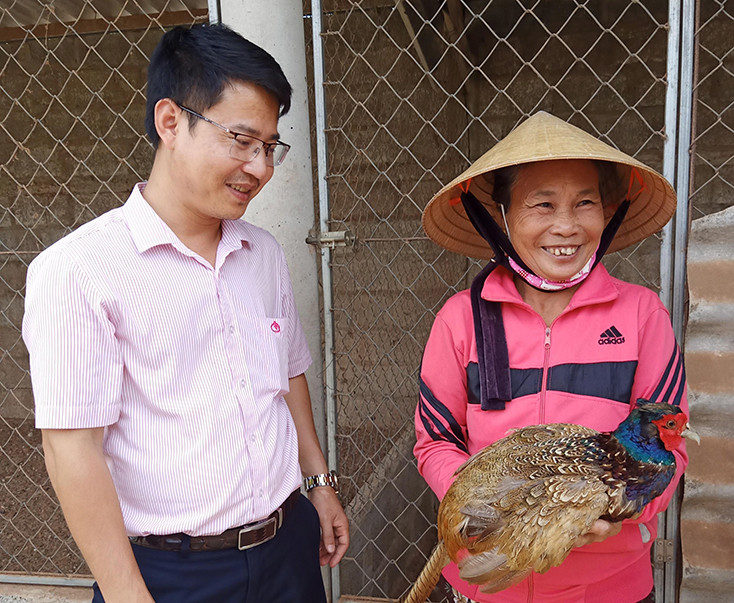 Bà Phan Thị Niệm ở thôn Thạch Thượng, xã Hồng Thủy, huyện Lệ Thủy đã sử dụng hiệu quả nguồn vốn vay từ NHCSXH. 	Tải