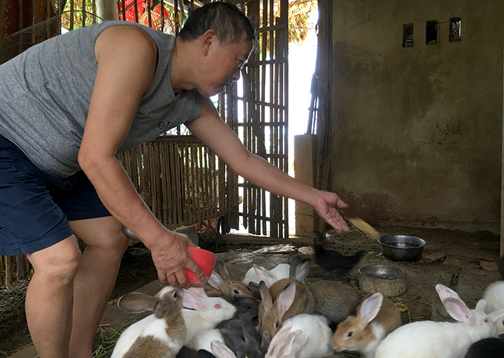 Nuôi thỏ giúp nhiều hộ nông dân xã Tân Thủy tăng thu nhập, ổn định cuộc sống.