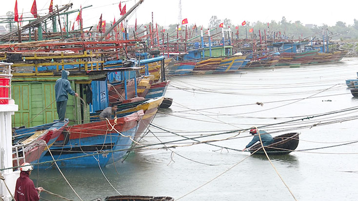 Trên 300 tàu thuyền của ngư dân  đã vào Khu neo đậu tàu thuyền tránh trú bão cửa Roòn an toàn.