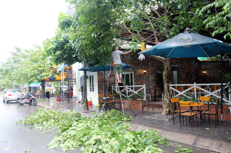 Người dân TP.Đồng Hới chặt cây cối, nhằm hạn chế gãy đỗ do bão