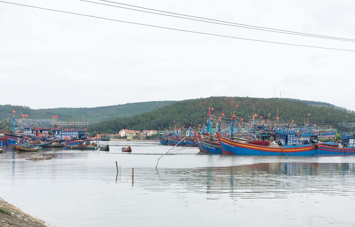 Nhiều tàu thuyền neo đậu an toàn tại cảng cá Lạch Quèn, xã Quỳnh Thuận, huyện Quỳnh Lưu, Nghệ An. (Ảnh: Nguyễn Oanh/TTXVN)