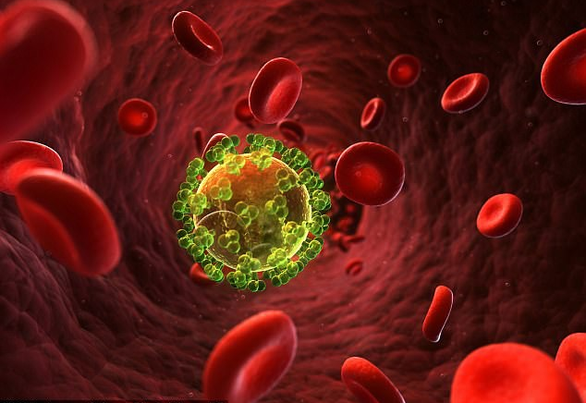 Virút HIV trong cơ thể con người - Ảnh: AFP