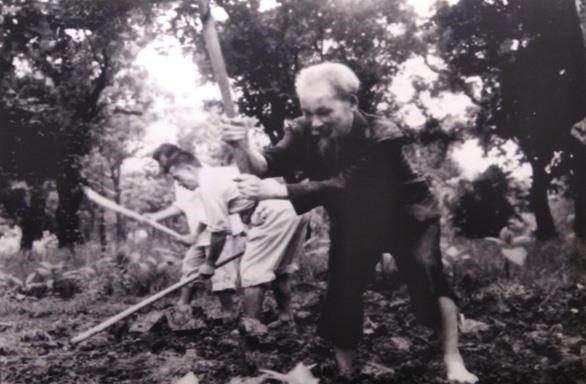 Chủ tịch Hồ Chí Minh tham gia cải tạo vườn trong Phủ Chủ tịch năm 1957. (Ảnh tư liệu)