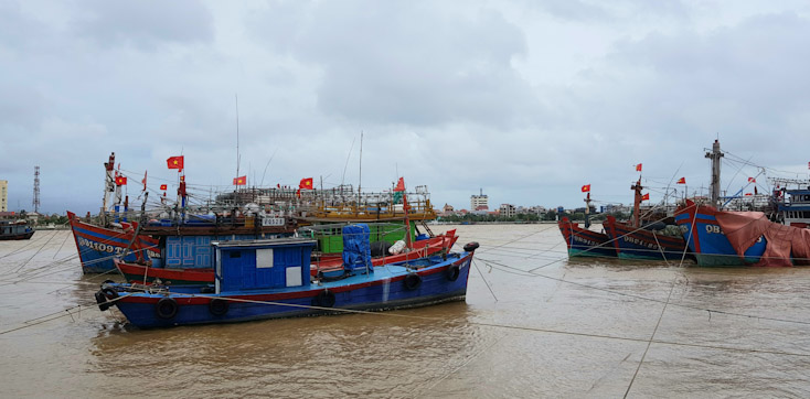 Gần 5.300 tàu cá của ngư dân đang neo đậu tránh trú bão tại các khu neo đậu tàu thuyền trong tỉnh.