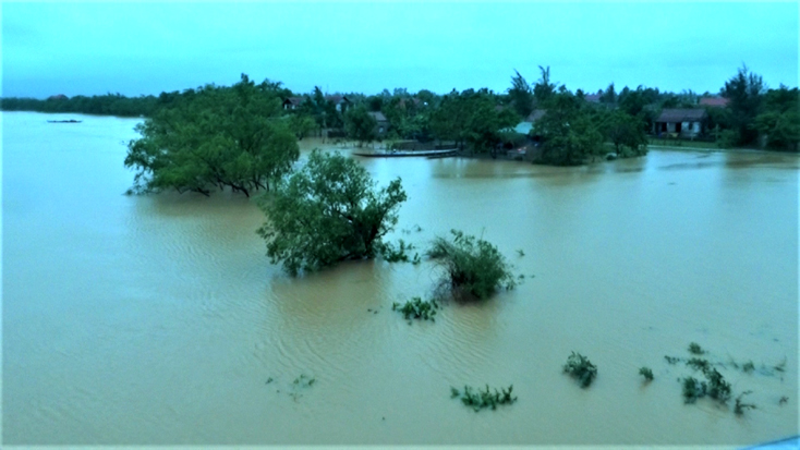 Mưa lớn gây ngập tại thôn Hữu Tân, xã Tân Ninh.