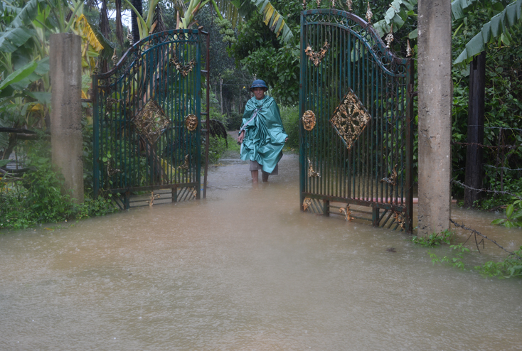 Toàn huyện Bố Trạch có gần 800 ngôi nhà bị ngập lụt