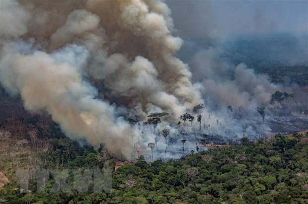 Khói bốc lên ngùn ngụt từ đám cháy tại rừng Amazon ở Porto Velho, bang Rondonia, Tây Bắc Brazil, ngày 24-8-2019. (Ảnh: AFP/TTXVN)