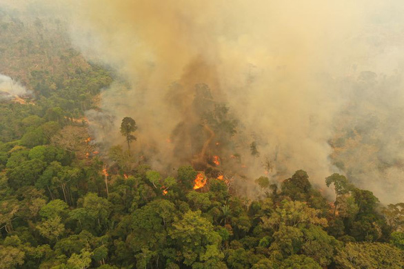  Rừng Amazon chứng kiến một năm hỏa hoạn kỷ lục - Ảnh: Michael Dantas