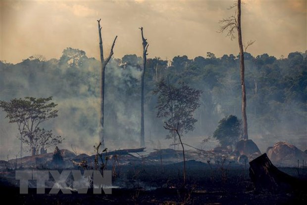 Rừng Amazon bị thiêu trụi tại Altamira, bang Para, Brazil, ngày 27-8-2019. (Ảnh: AFP/ TTXVN)