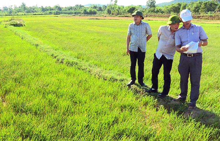 Lãnh đạo huyện Bố Trạch kiểm tra tình hình sản xuất nông nghiệp trên địa bàn.