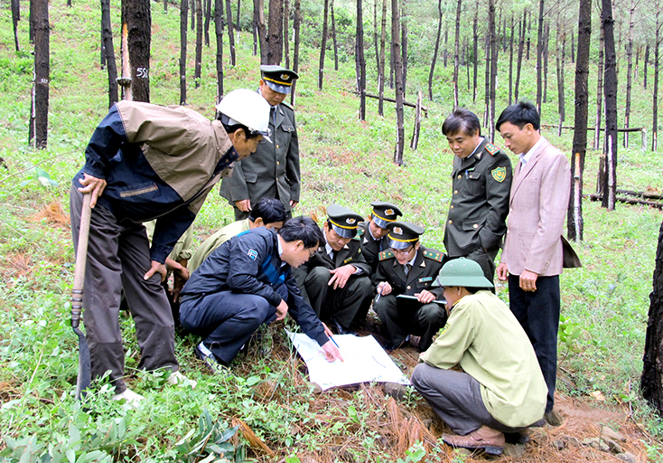 Lực lượng Kiểm lâm kiểm tra công tác PCCCR của các chủ rừng