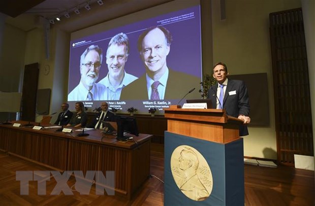  Thư ký Ủy ban Nobel Thomas Perlmann (phải) công bố giải Nobel Y học năm 2019 thuộc về William Kaelin, Peter Ratcliffe và Gregg Semenza, trong cuộc họp báo tại Stockholm, Thụy Điển. (Ảnh: AFP/TTXVN)