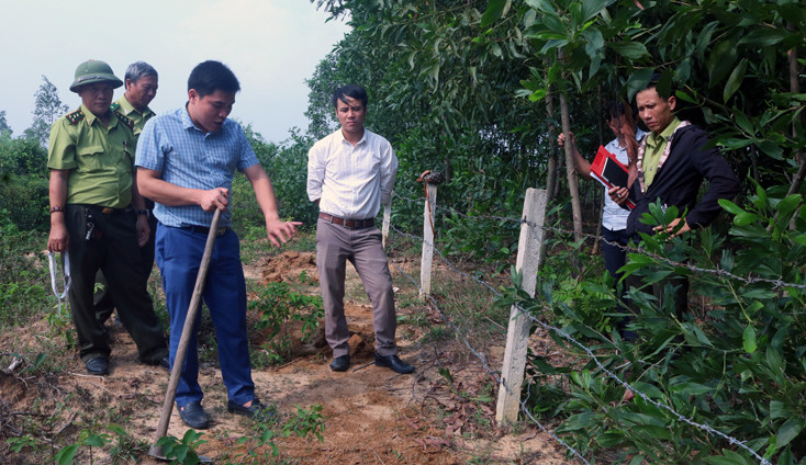 Học viên tham gia thực hành tại khu vực rừng trồng huyện Bố Trạch, để củng cố kiến thức đã tiếp thu.