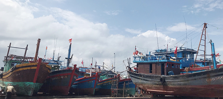 Hàng trăm tàu cá lần lượt nằm bờ chờ cải hoán tàu theo đúng quy định của Bộ Nông nghiệp-PTNT.