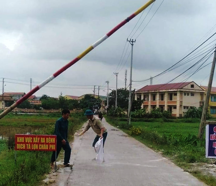 Sau công bố dịch, phường Đức Ninh Đông đã lập chốt kiểm tra và rải vôi tiêu độc khử trùng trong phạm vi quy định.