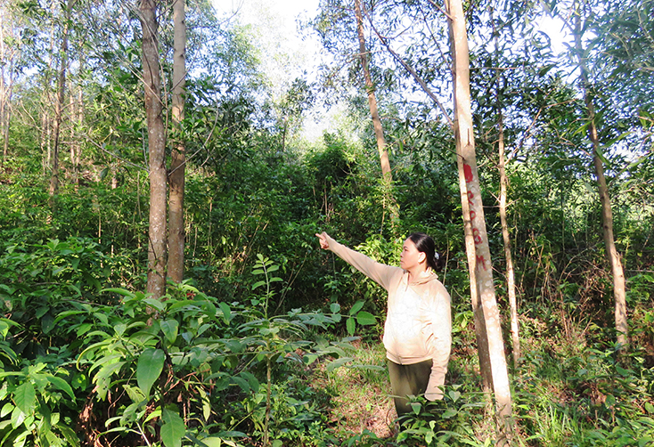 Thửa đất số 64 (1), 64 (2), tờ bản đồ số 26 thuộc thị trấn Nông trường Lệ Ninh, bà Hoạt cho rằng gia đình mình đã khai hoang từ 1991 và sử dụng từ đó đến nay. 