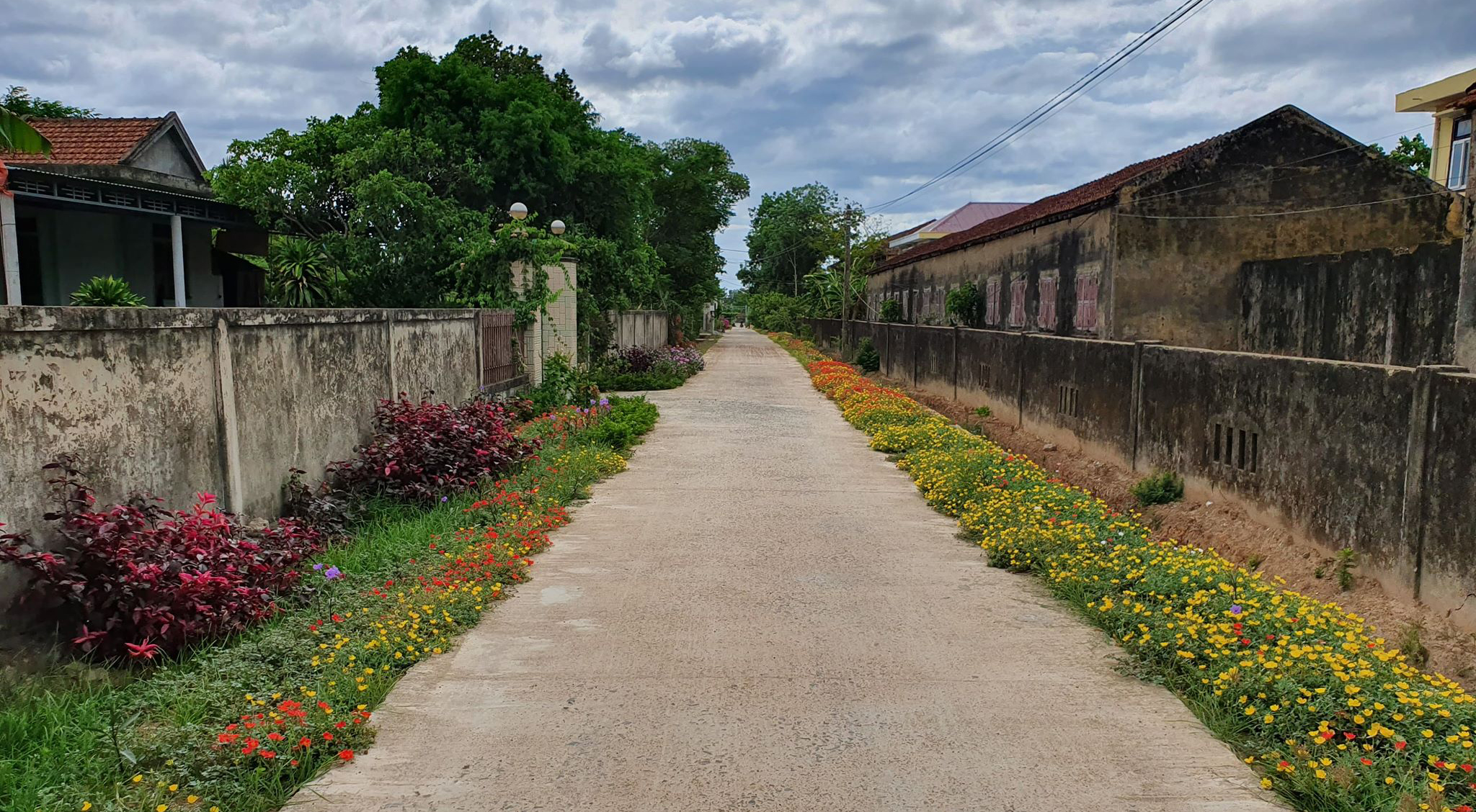 Những con đường hoa ở thôn Mai Hạ, xã Mai Thủy, Lệ Thủy trong xây dựng NTM nâng cao và kiểu mẫu.