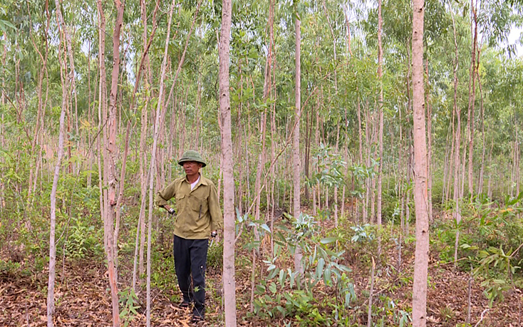 Với nghị lực phi thường, ông Đặng Xuân Đào đã vượt qua nghèo khó, khuyết tật, trở thành tấm gương làm kinh tế giỏi.