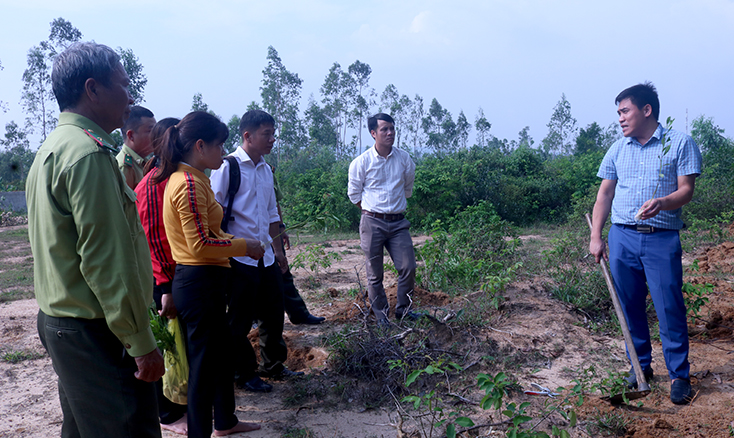 Tập huấn về biện pháp lâm sinh cho phát triển rừng trồng và rừng tự nhiên tại 4 huyện Lệ Thủy, Bố Trạch, Tuyên Hóa và Minh Hóa.