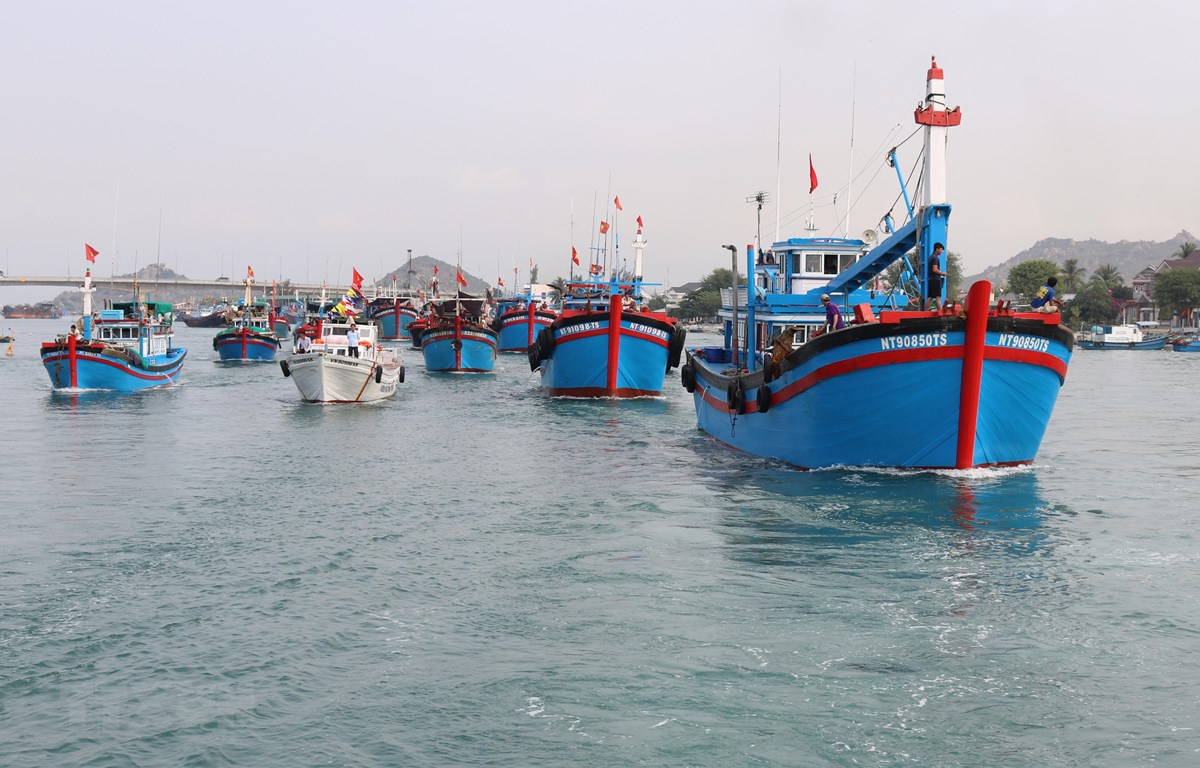 Đội tàu cá của tỉnh Ninh Thuận vươn khơi khai thác hải sản. Ảnh minh họa. (Ảnh: Nguyễn Thành/TTXVN)