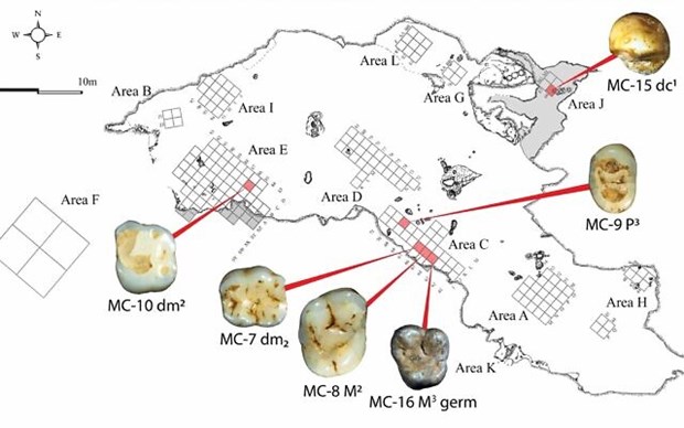 Bản đồ các địa điểm khai quật trong hang động Manot với chỉ dẫn về vị trí của những chiếc răng 40.000 năm tuổi. (Nguồn: timeofisrael)