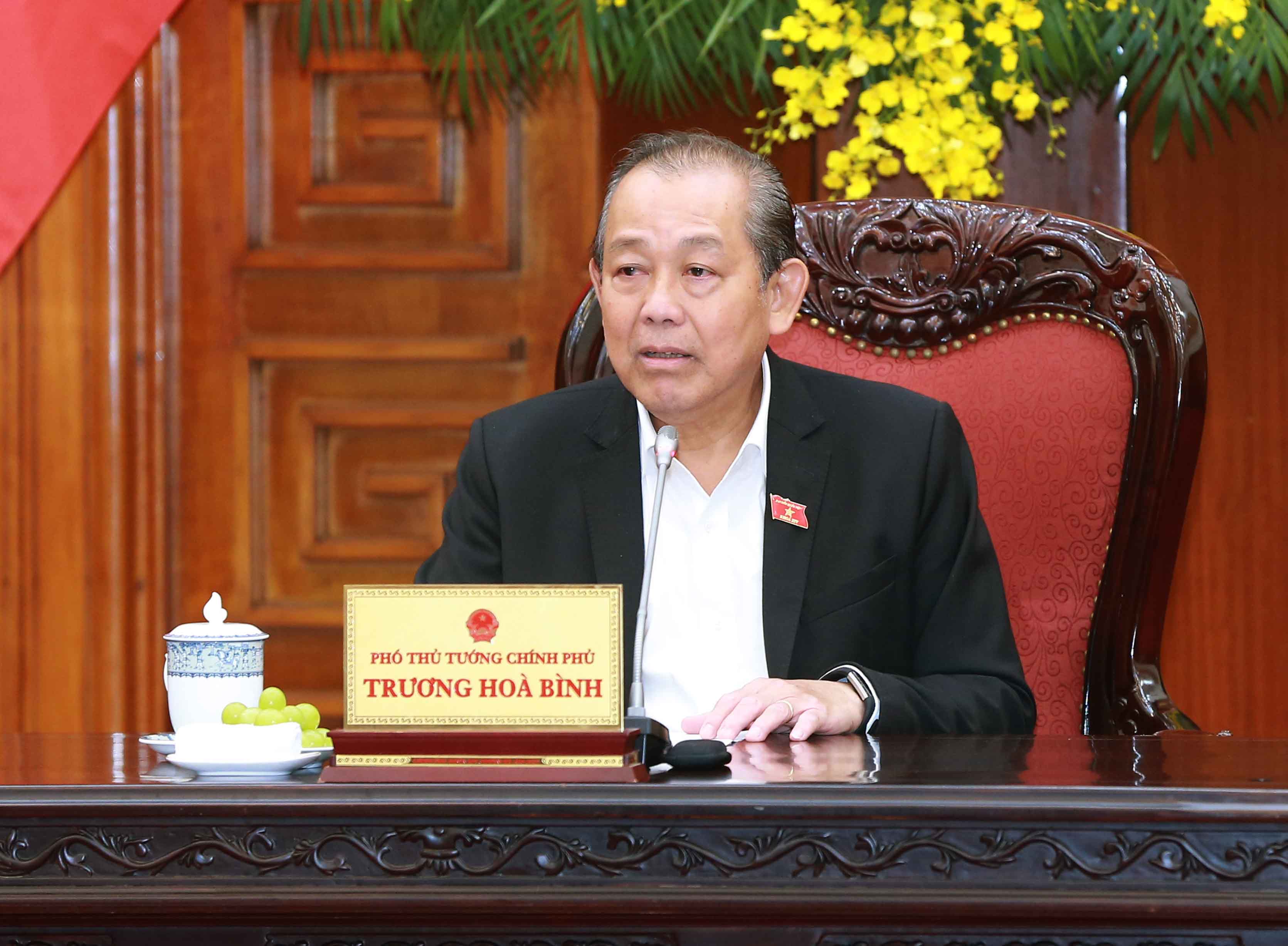  Phó Thủ tướng Thường trực Trương Hòa Bình phát biểu tại cuộc họp. Ảnh: VGP/Lê Sơn